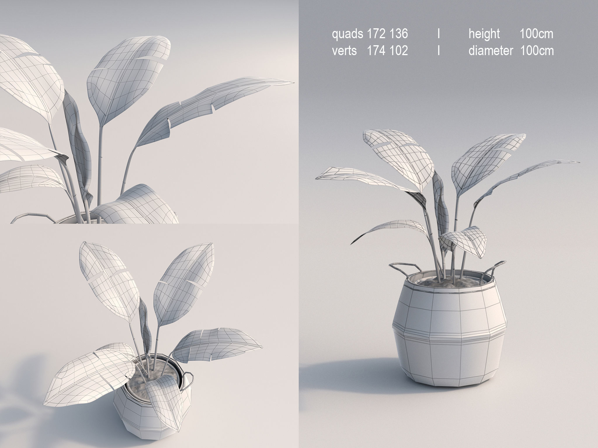Set Of Big Room Plants 3D model_6