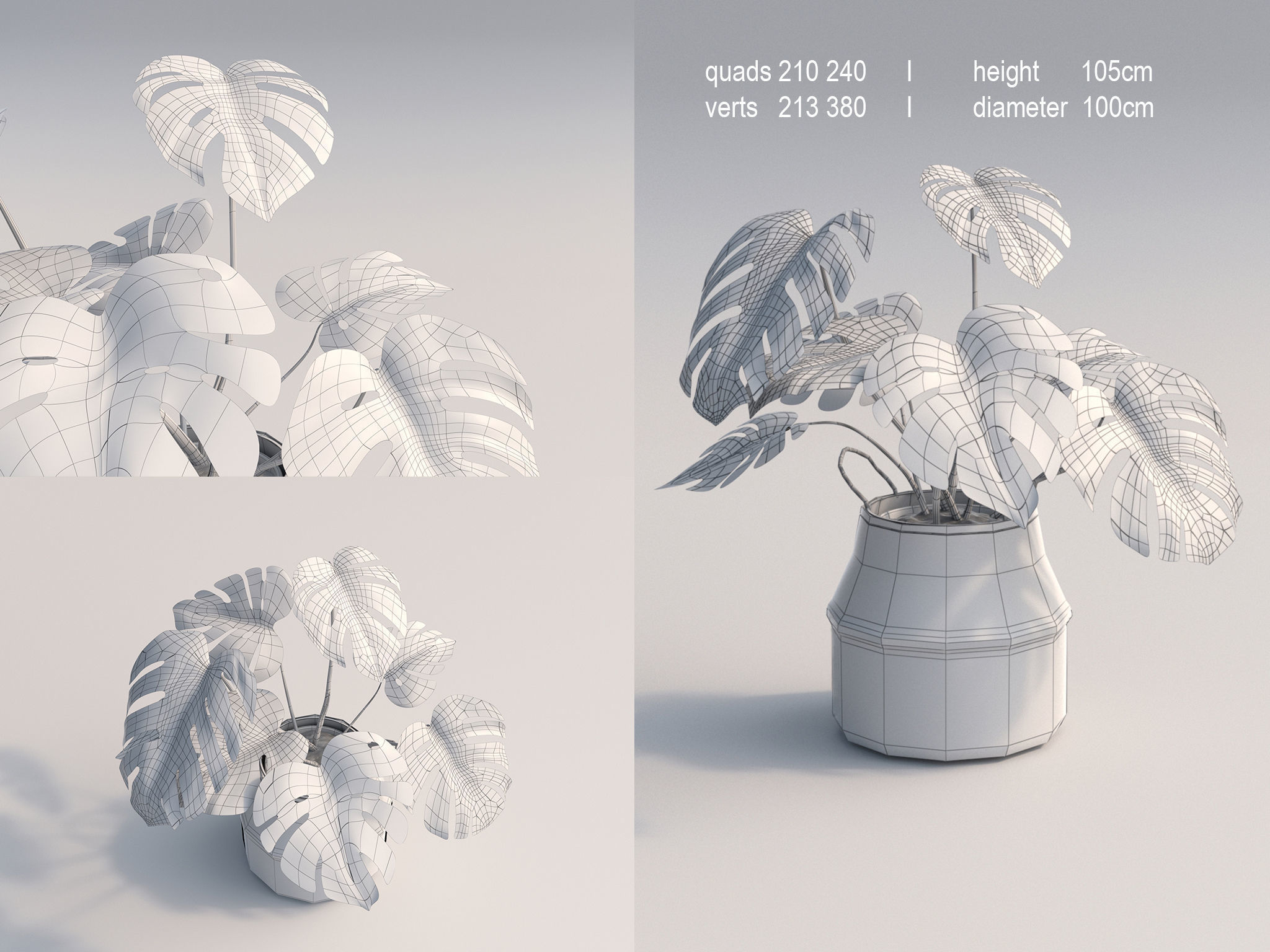 Set Of Big Room Plants 3D model_8