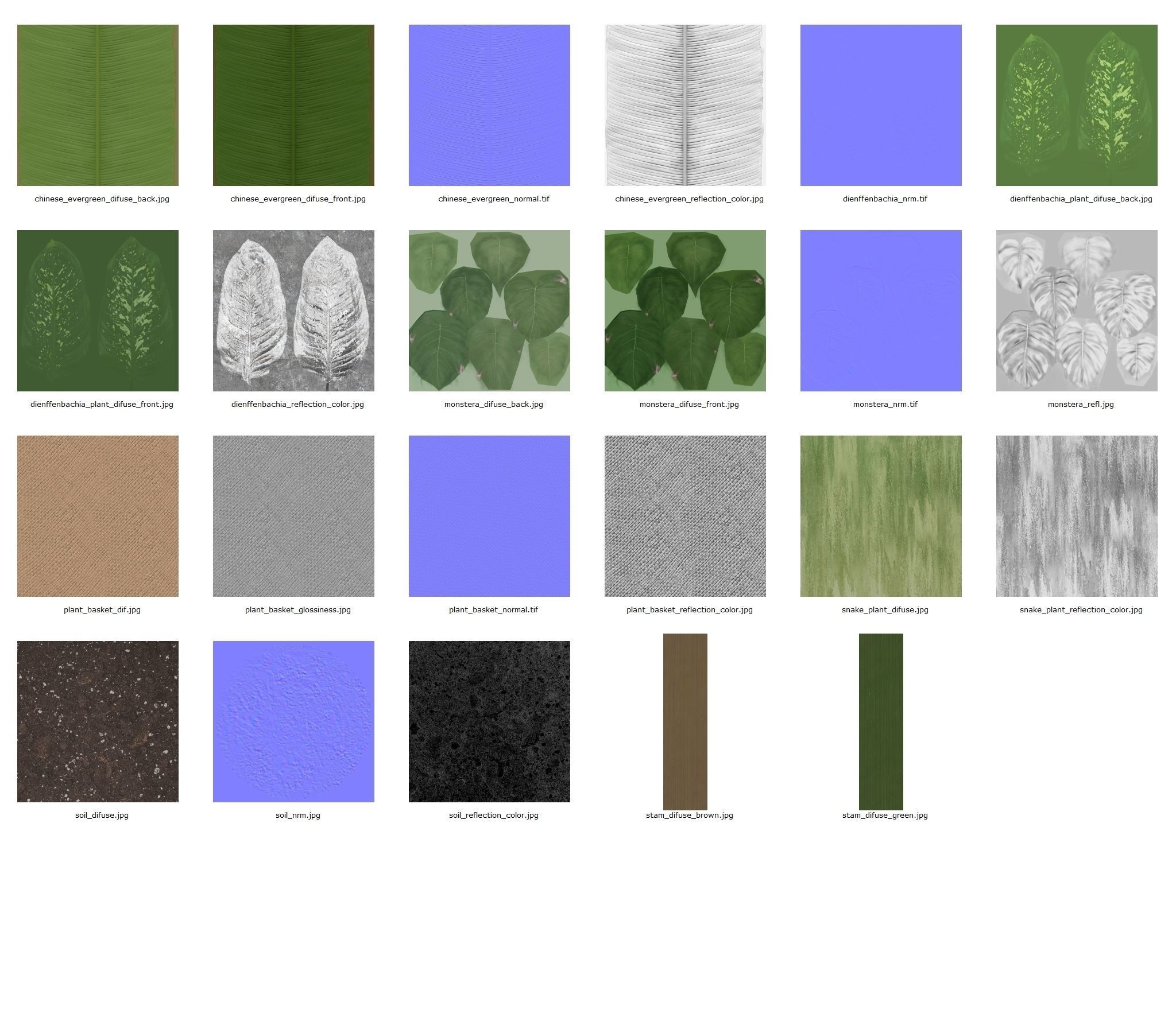 Set Of Big Room Plants 3D model_9