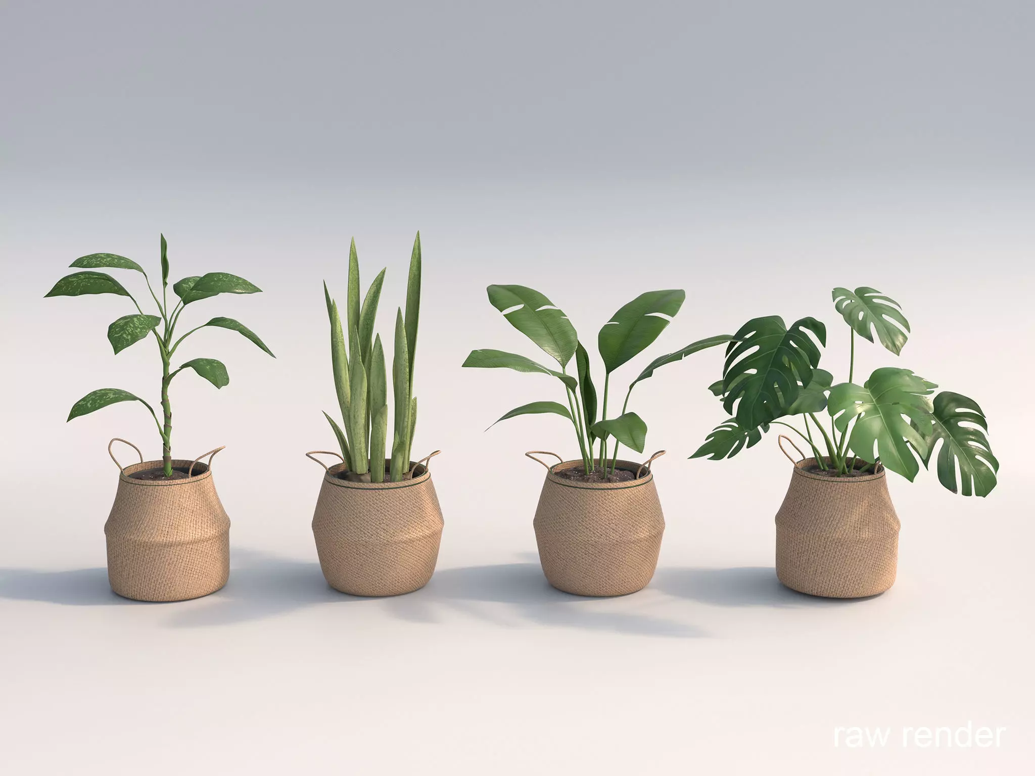 Set Of Big Room Plants 3D model_0
