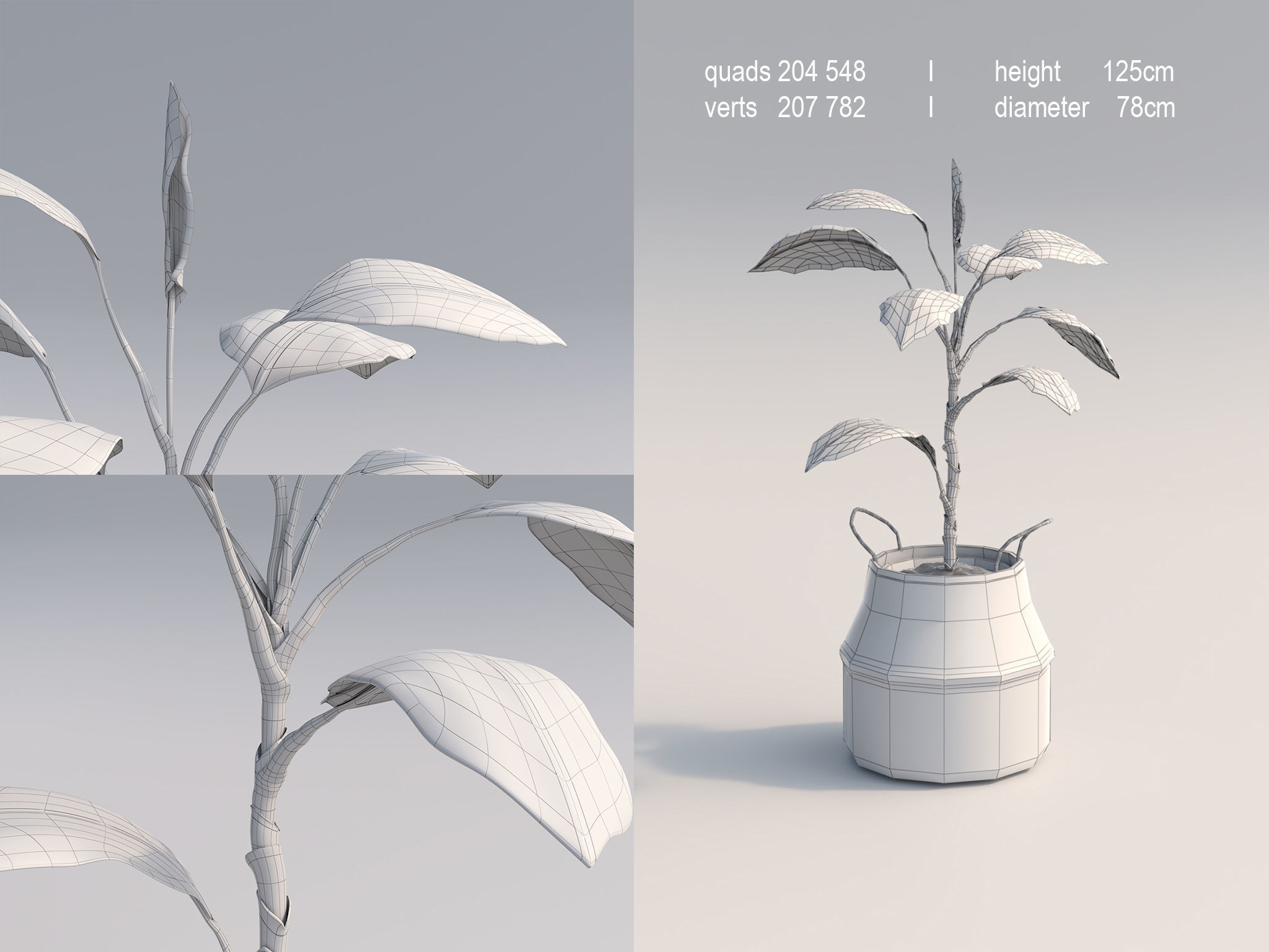 Set Of Big Room Plants 3D model_2