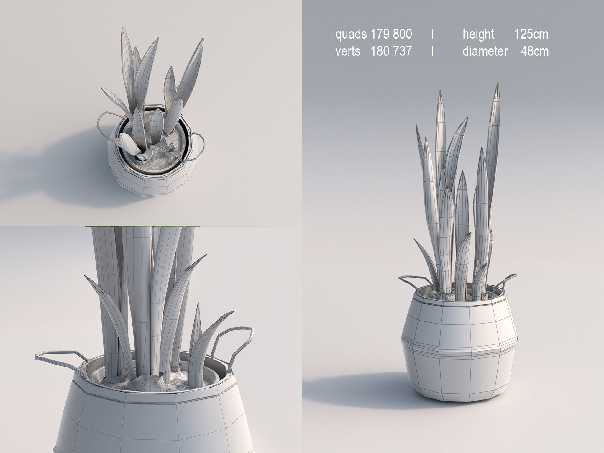 Set Of Big Room Plants 3D model_4