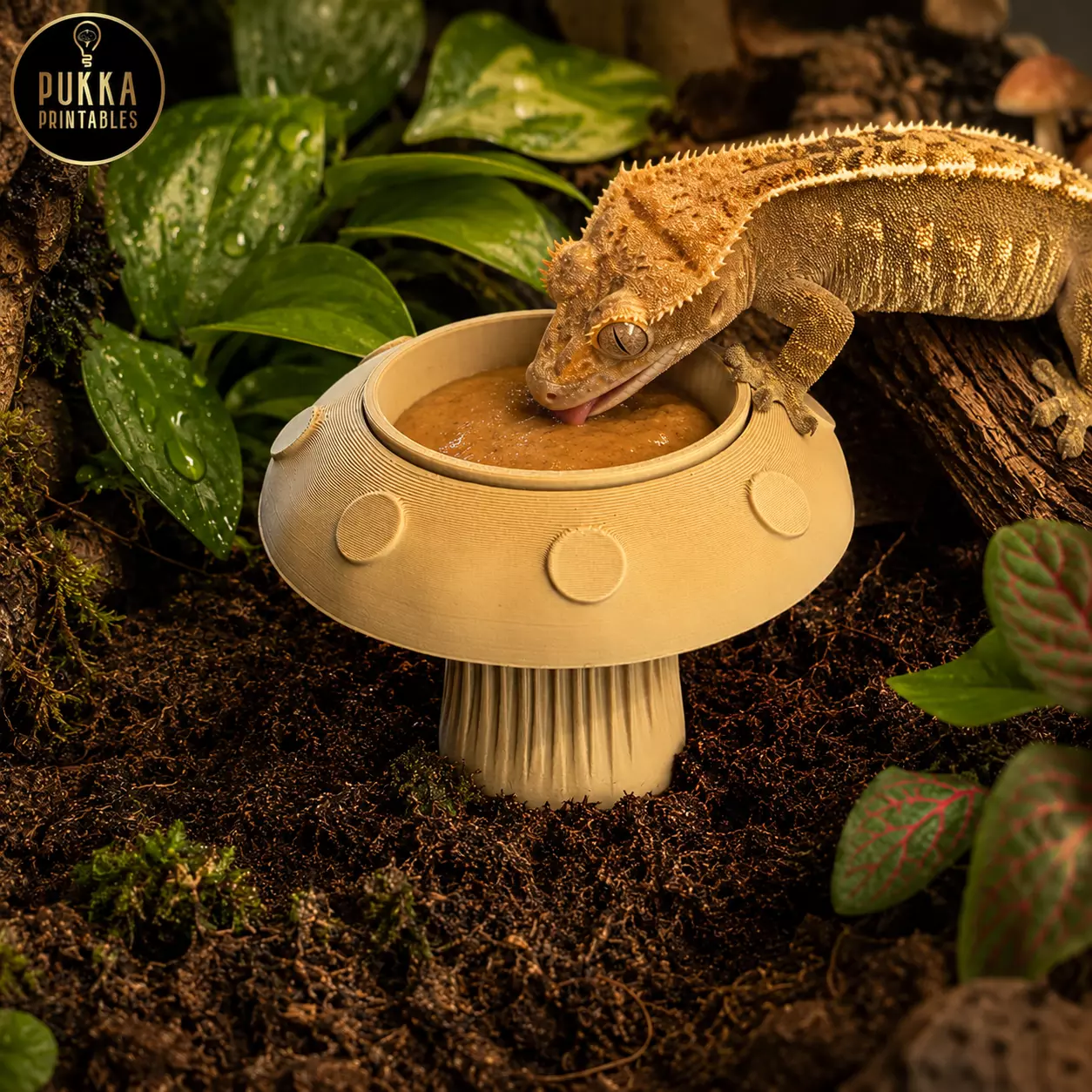 Woodland Mushroom Crested Gecko Feeding Bowl STL for 3D Printing 3D print model