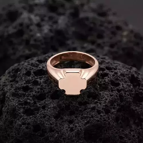 Jewelry Signet Ring v21 S Size