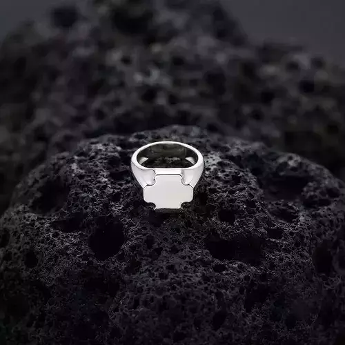Jewelry Signet Ring v21 M Size