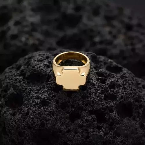 Jewelry Signet Ring v21 L Size