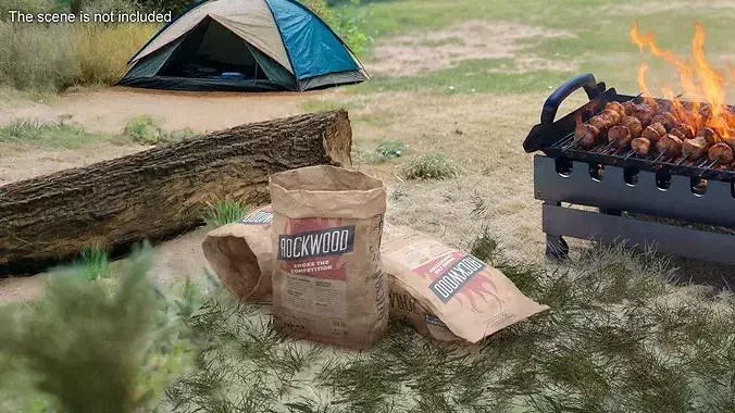 Charcoal Bag Rockwood Opened 3D model 3