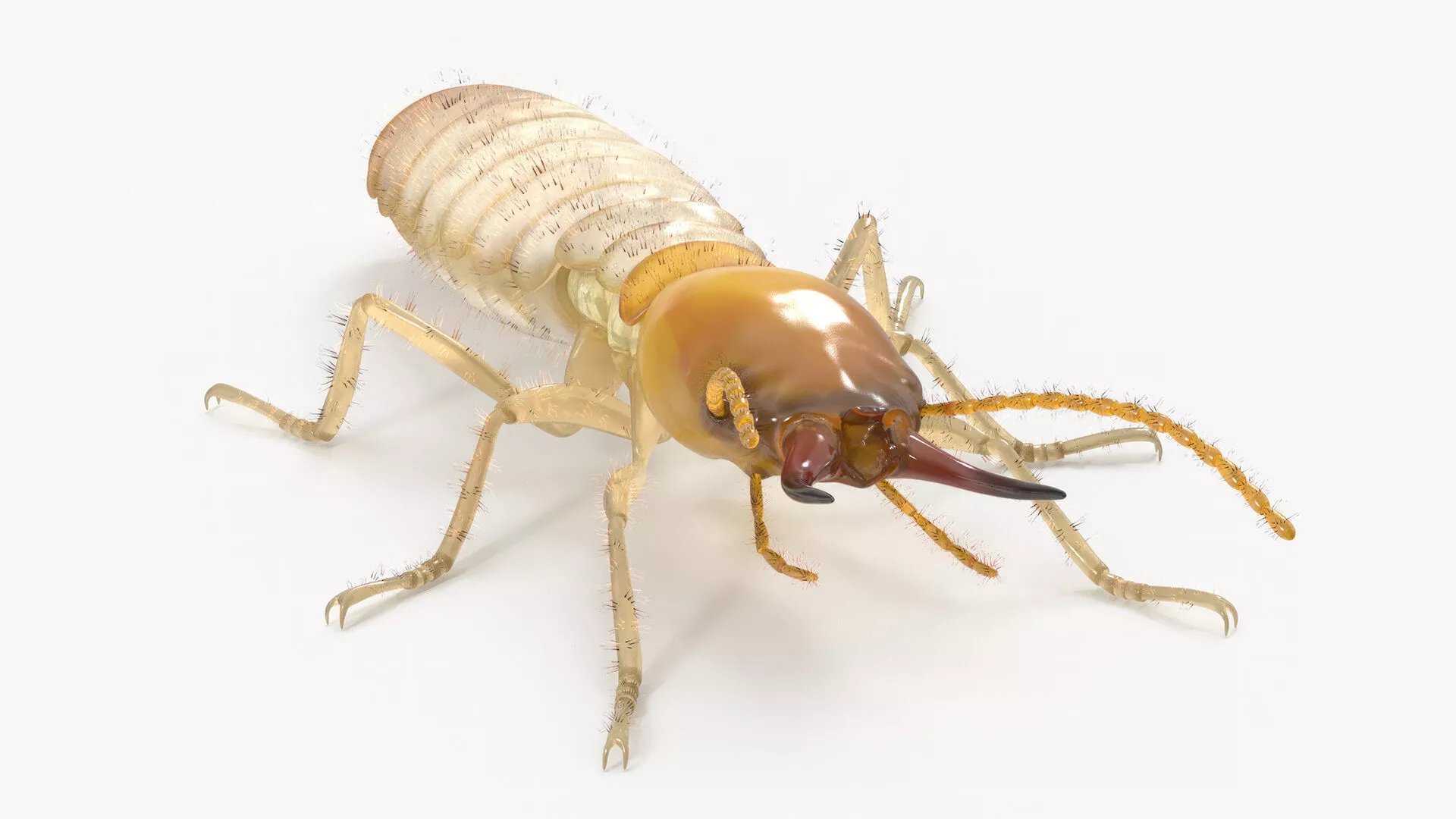 Termite in Static Pose for 3D Print 3D print model