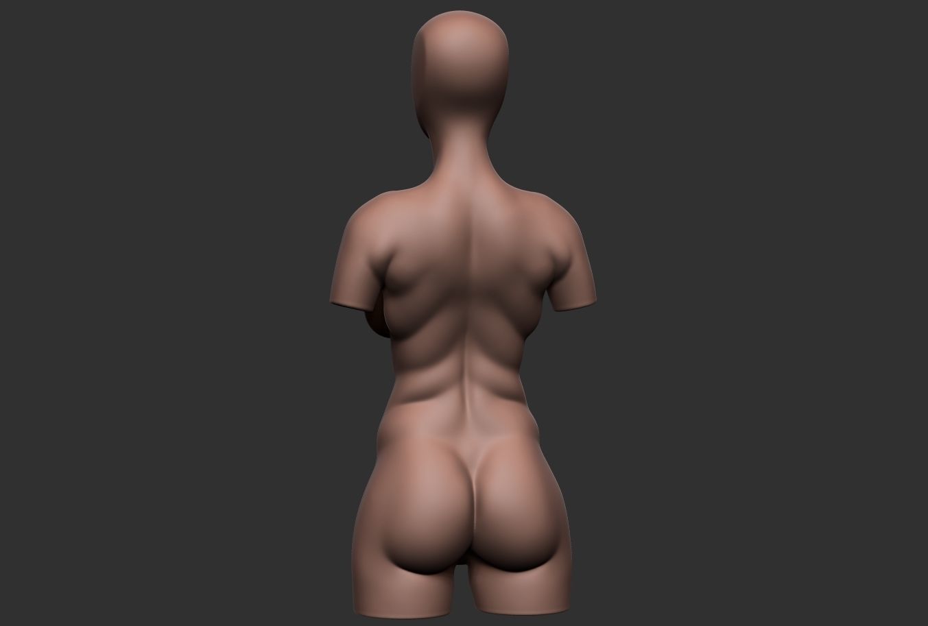 Female Torso 05 Low-poly 3D model_4