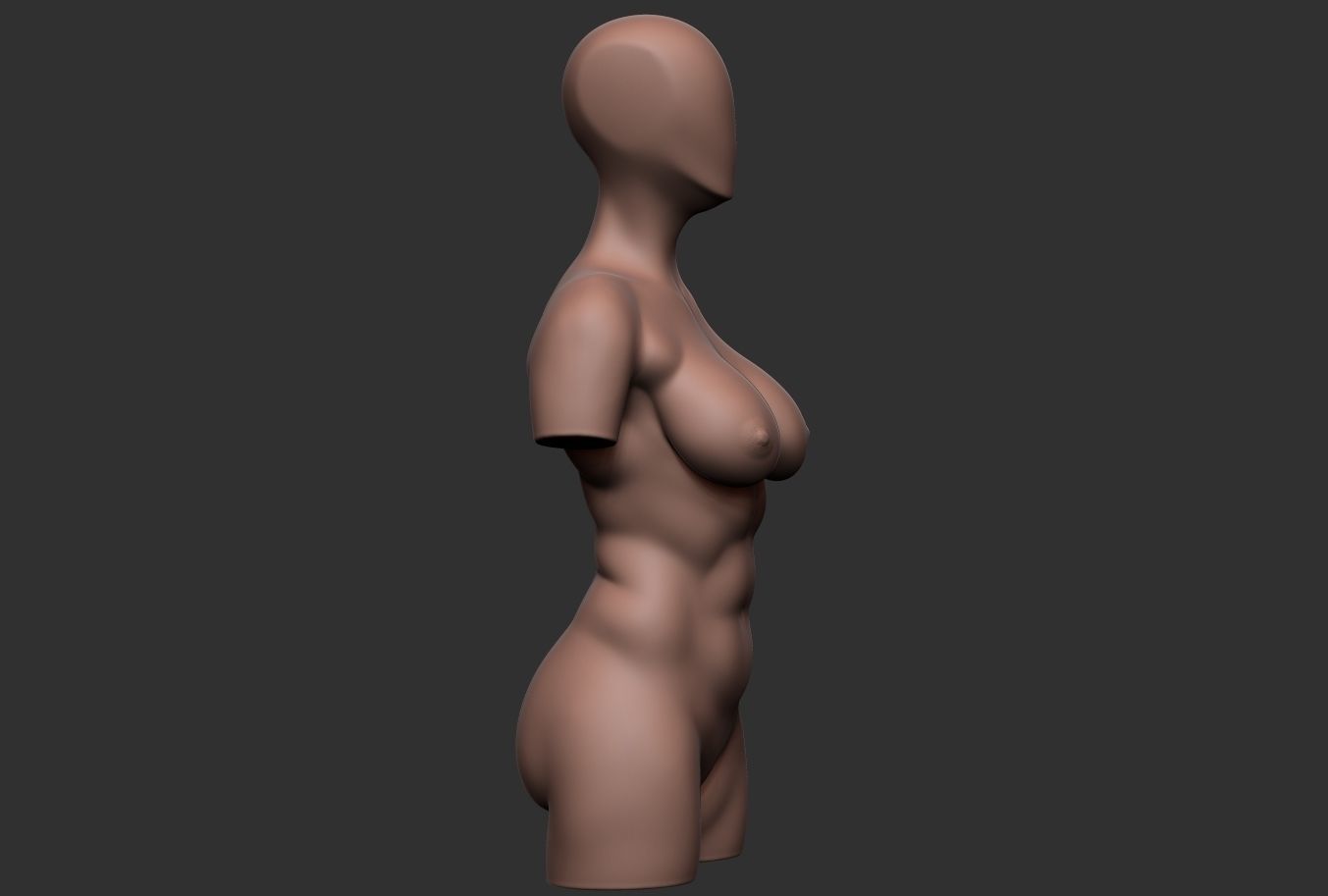 Female Torso 05 Low-poly 3D model_3