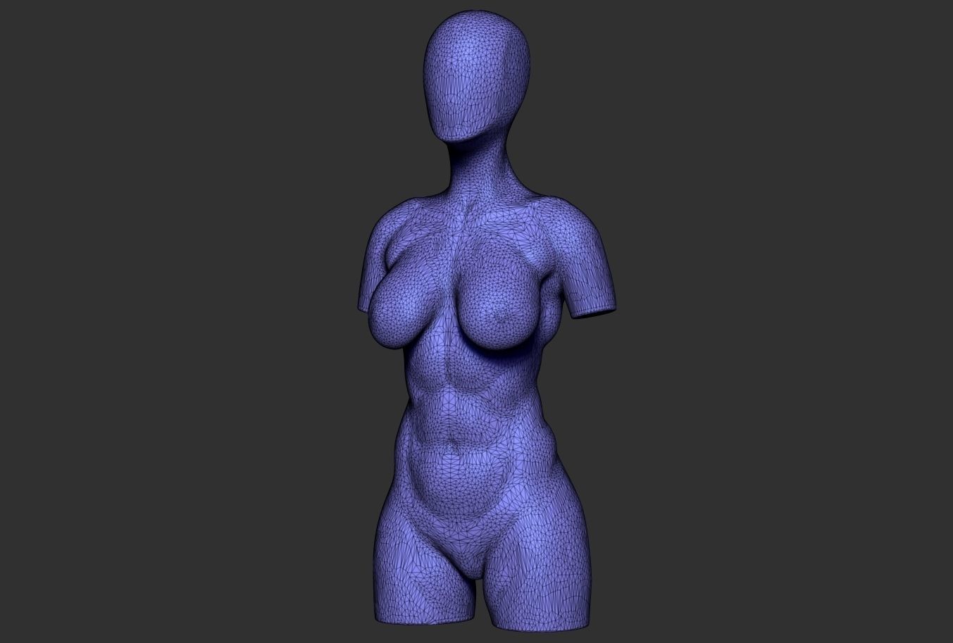 Female Torso 05 Low-poly 3D model_10