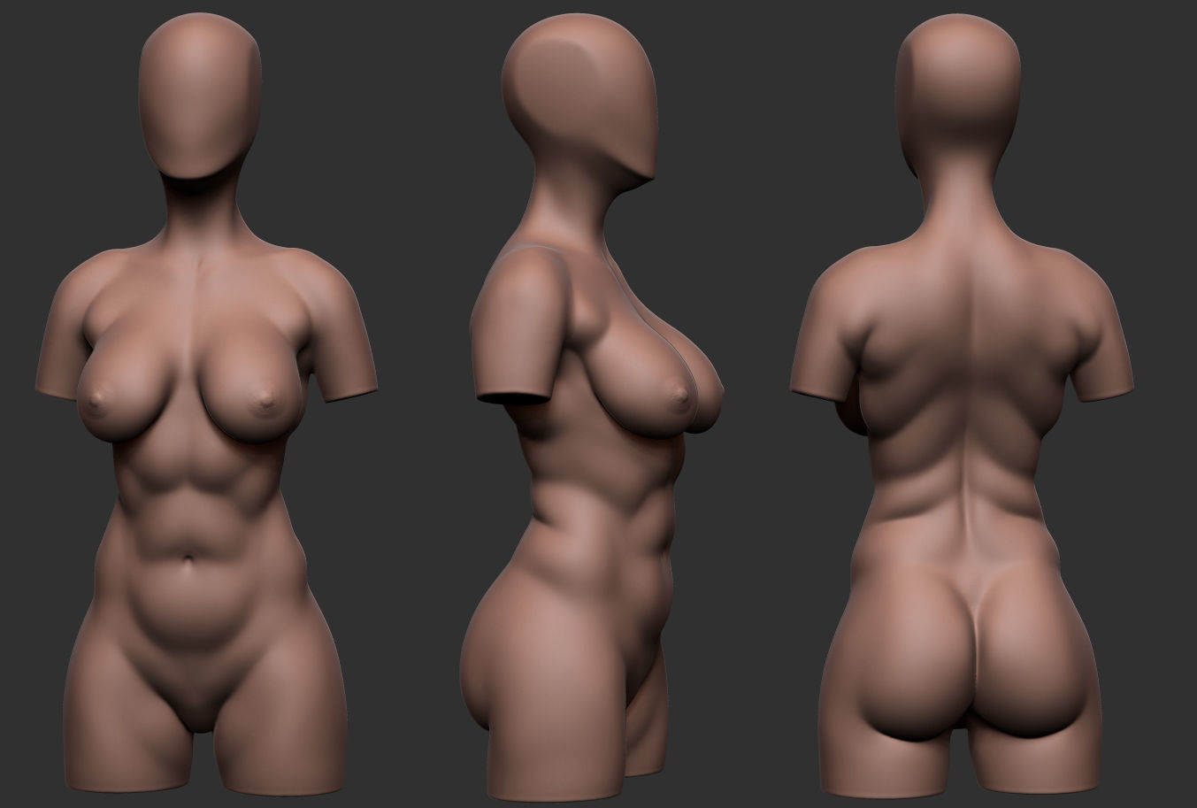 Female Torso 05 Low-poly 3D model_8
