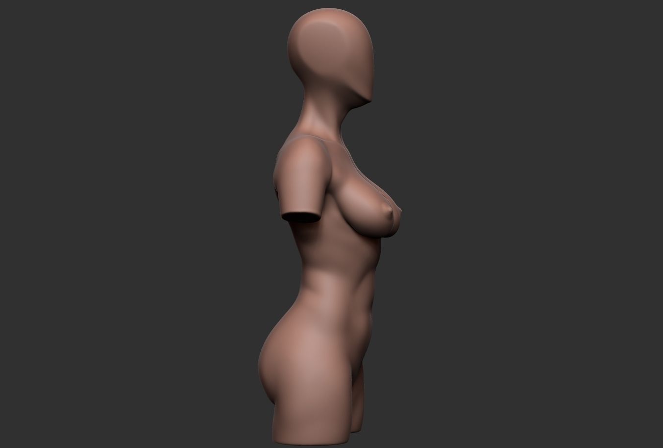 Female Torso 06 Low-poly 3D model_3