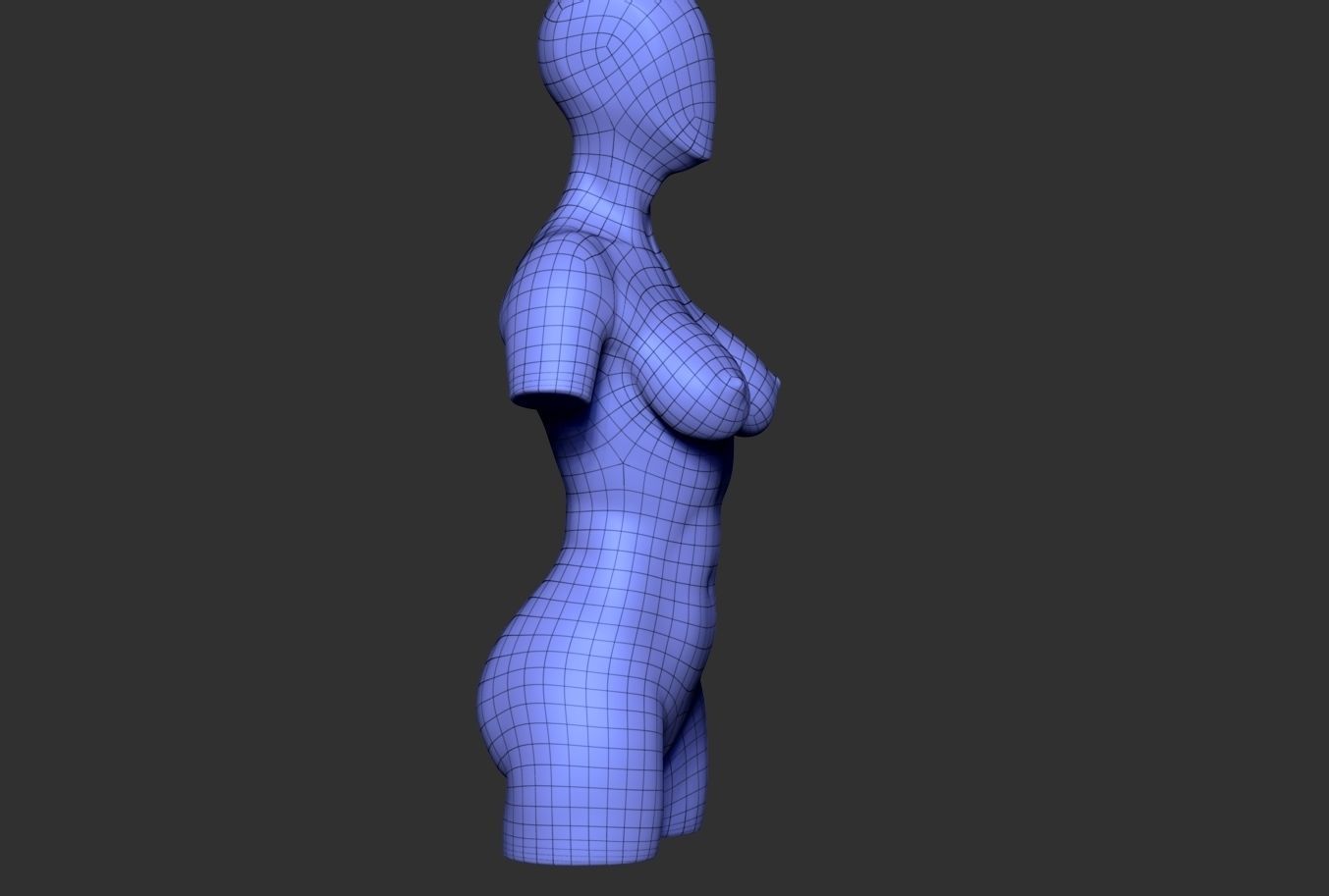Female Torso 06 Low-poly 3D model_6