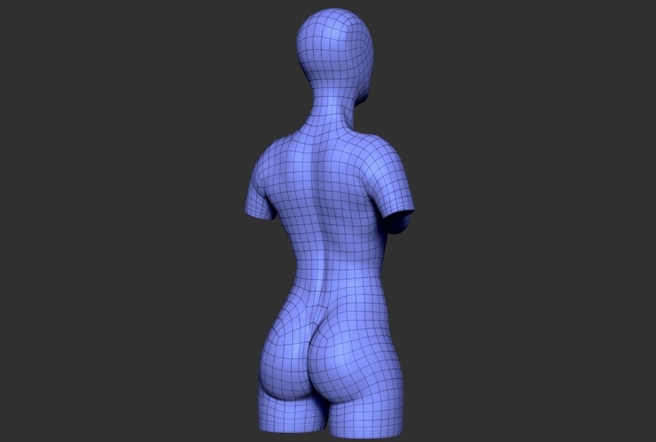 Female Torso 06 Low-poly 3D model_7