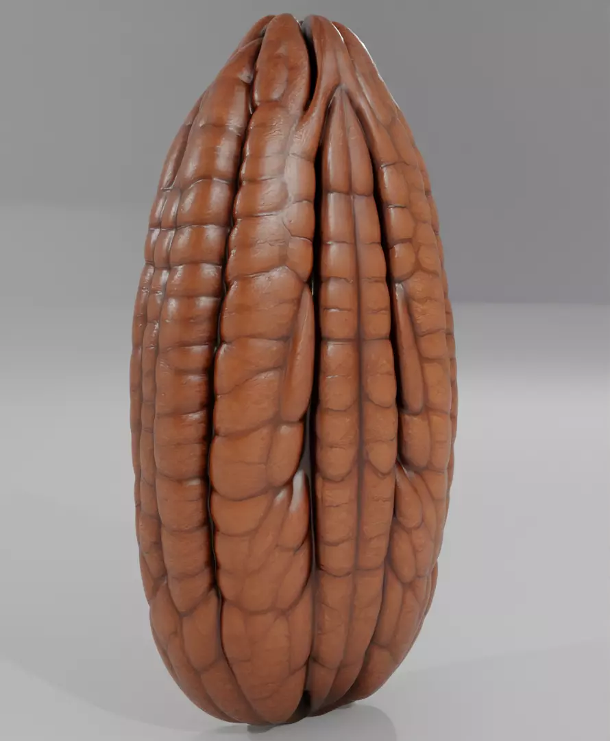 Pecan Nut 3D Print Model for Confectionery Silicone Mold Making 3D print model