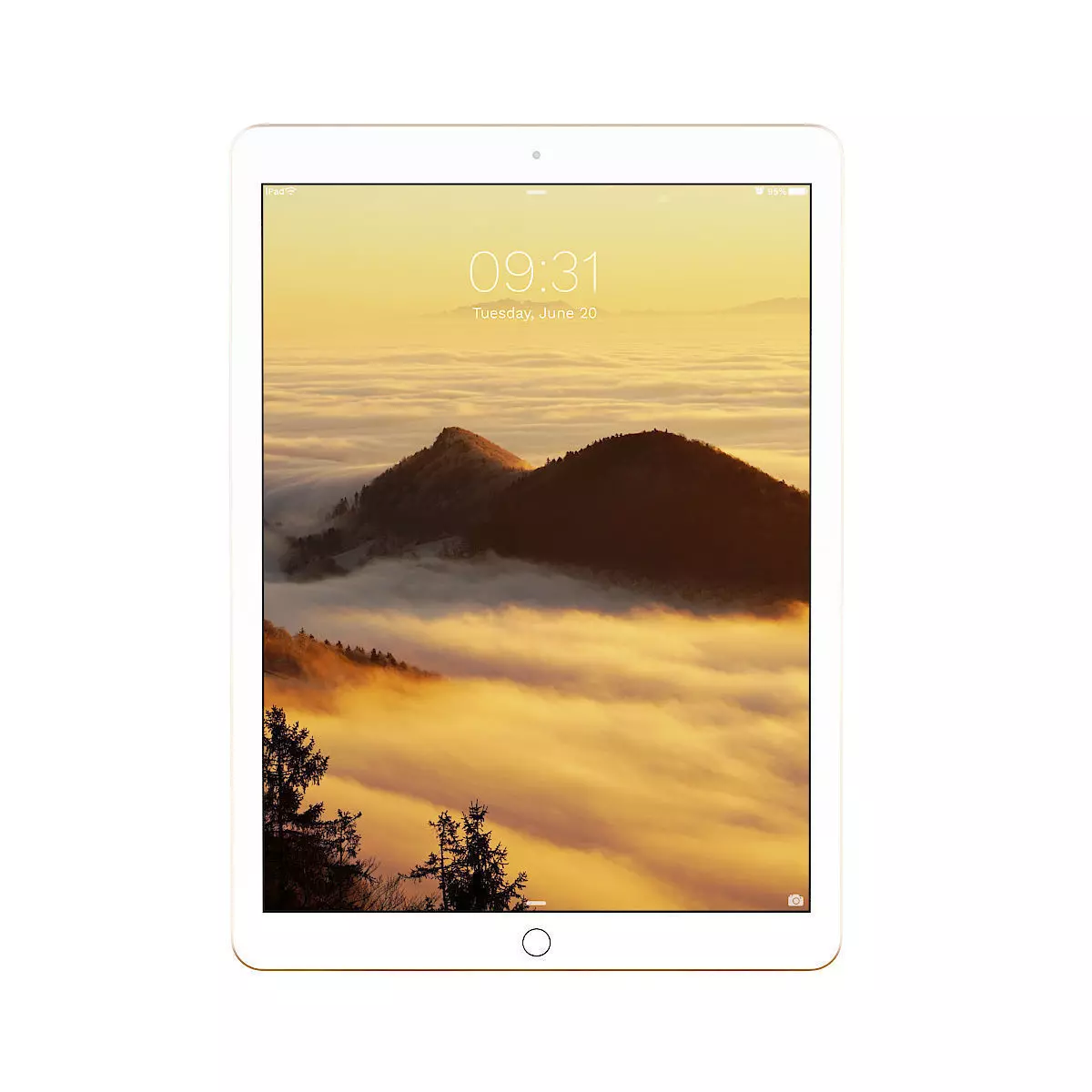 iPad Pro 13 Gold 3D model_0