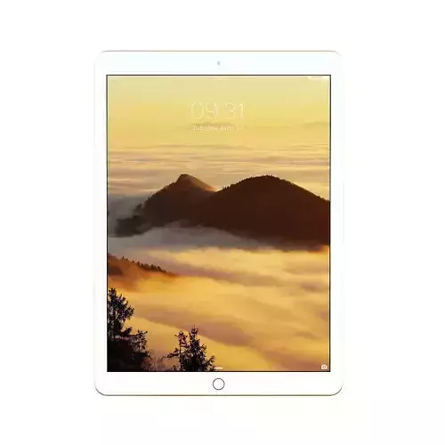 iPad Pro 13 Gold