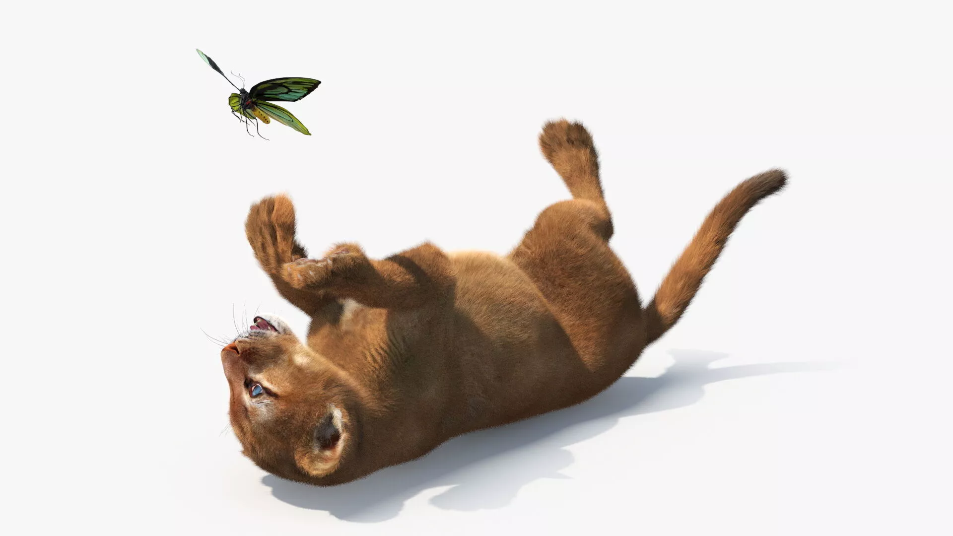 Playful Puma Cub with Butterfly Fur 3D model