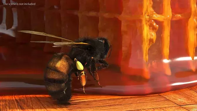 Honeybee Fur 3D model 2