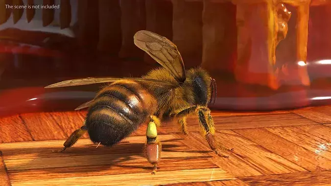 Realistic HoneyBee Fur 3D model 6
