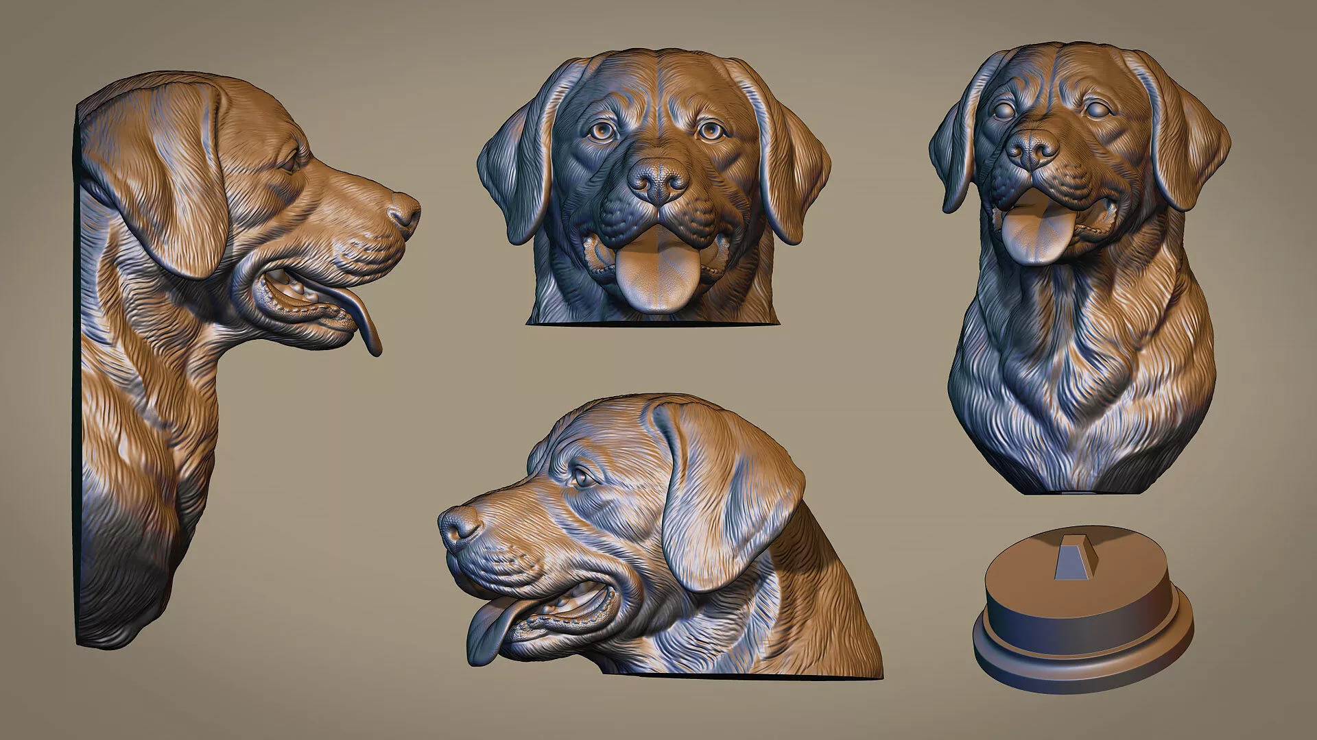 Labrador Dog 3D print model