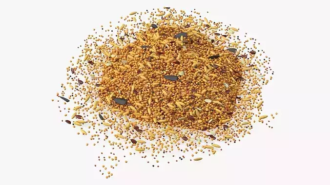 Mixed Bird Seed 3D model 2