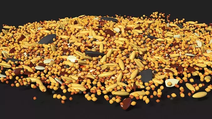 Mixed Bird Seed 3D model 7