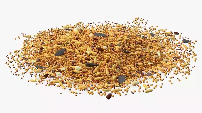 Mixed Bird Seed 3D model