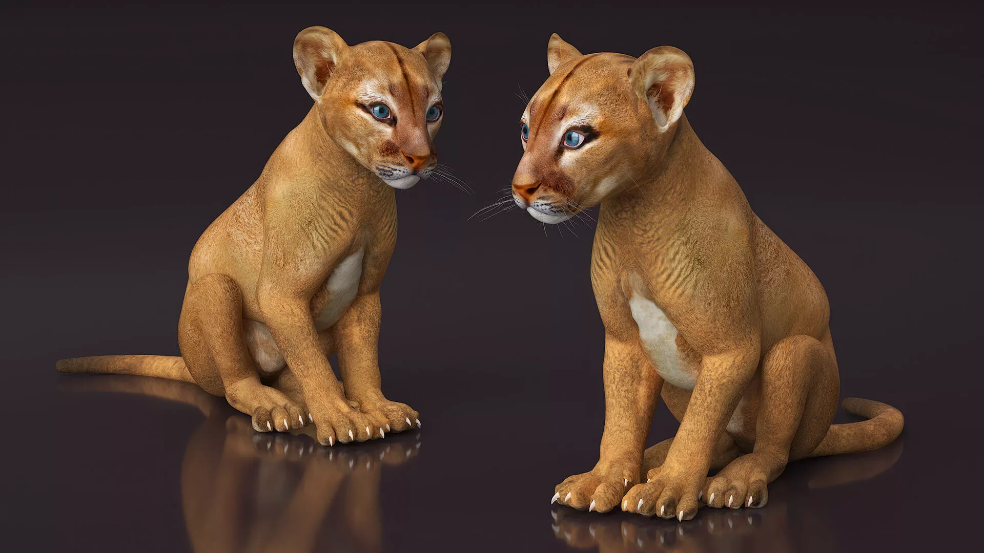 Puma Cub Rigged 3D model