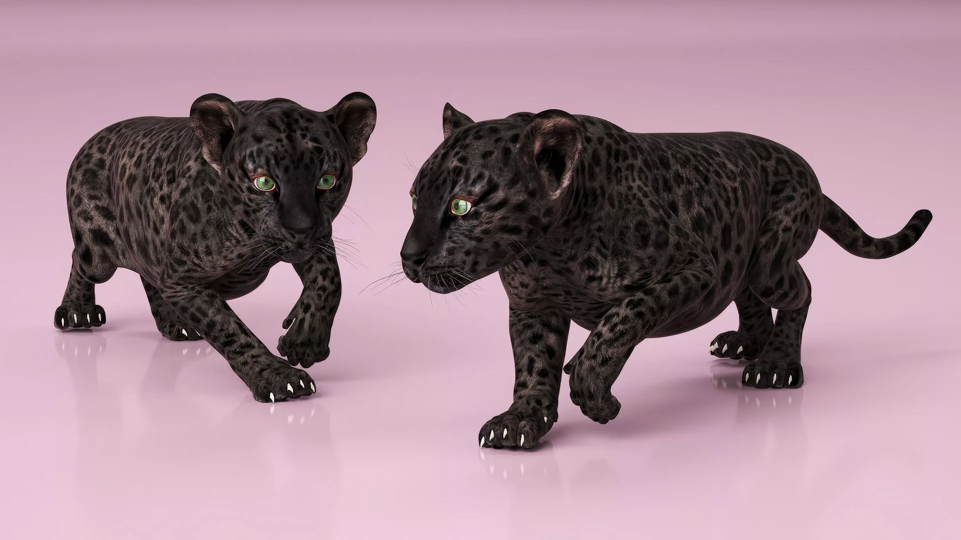 Black Leopard Cub Sneaking Pose 3D model | CGTrader