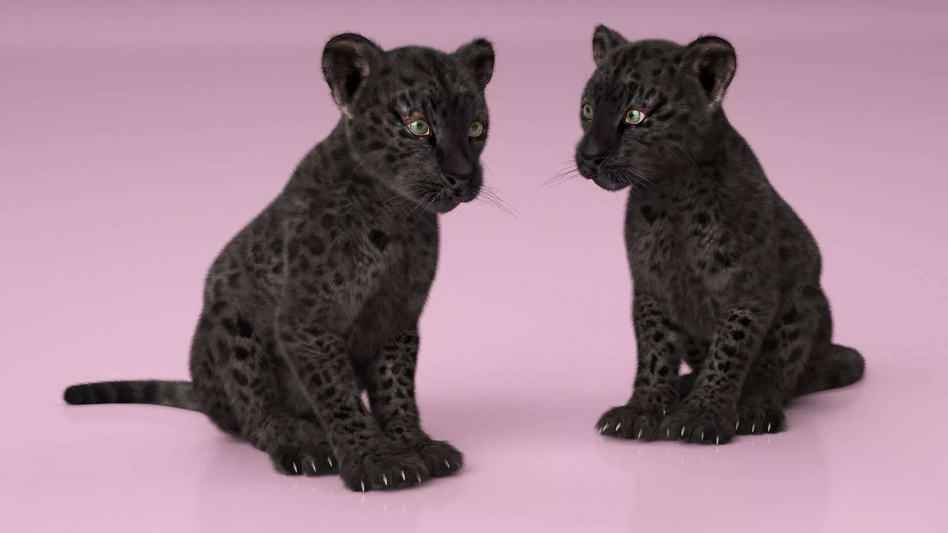 Black Leopard Cub with Fur Rigged 3D model