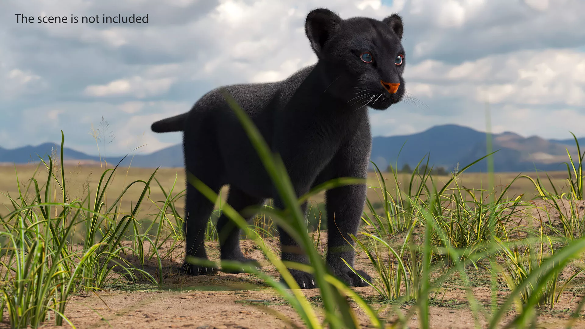 Black Panther Cub with Fur Rigged 3D model