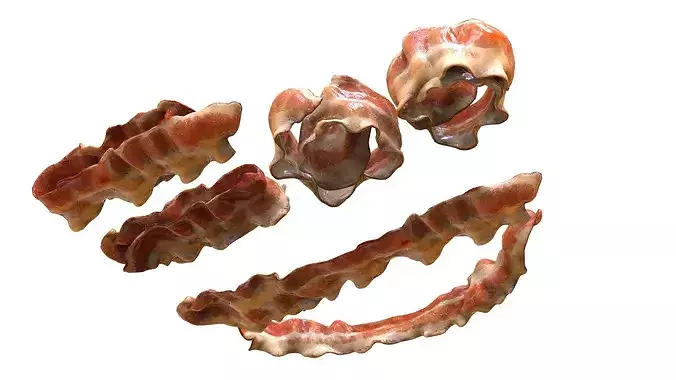 Fried bacon slice set 3D model 5
