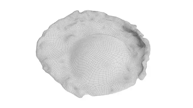 Fried chicken egg 3D model 6