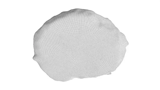 Fried chicken egg 3D model 7