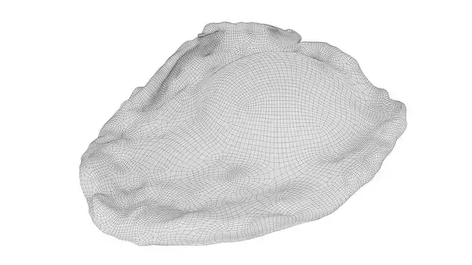Fried chicken egg 03 3D model 7