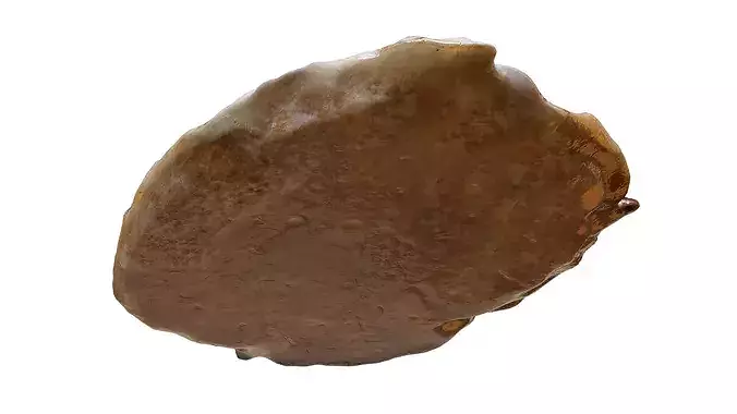 Fried chicken egg 03 3D model 5