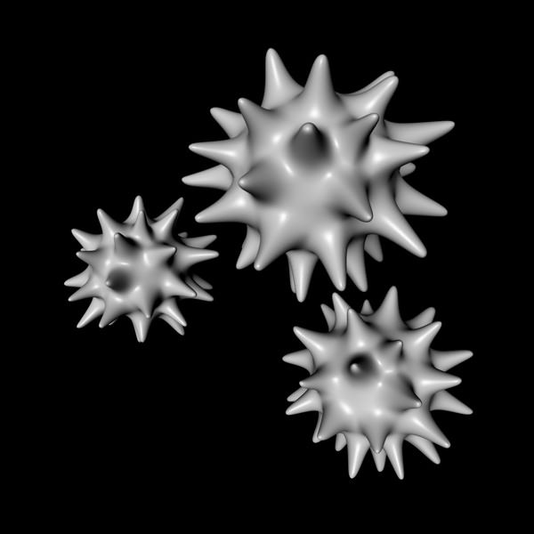 Pollen three coronaviruses 3D model_2