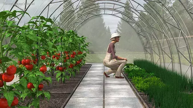 Vegetables Greenhouse Tent with Gardener 3D model 5