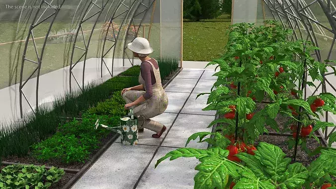 Vegetables Greenhouse Tent with Gardener 3D model 6