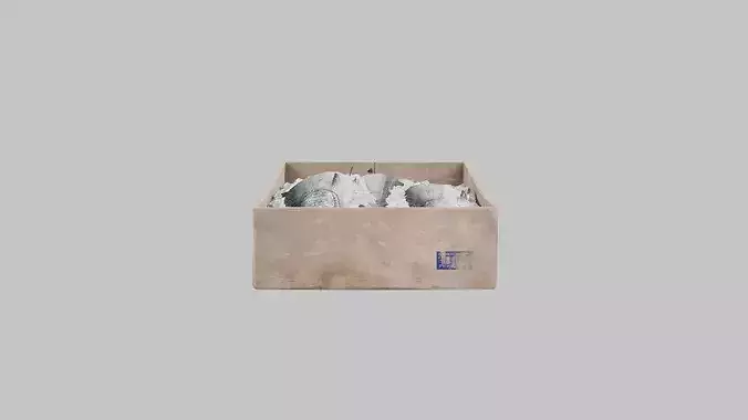 Salmon Box Low-poly 3D model 4