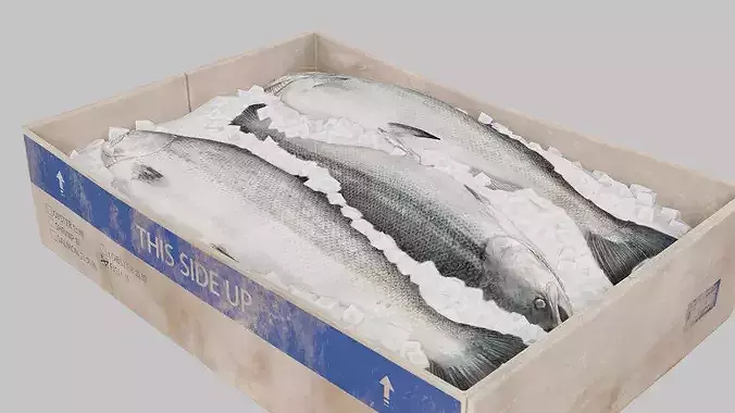 Salmon Box Low-poly 3D model 2