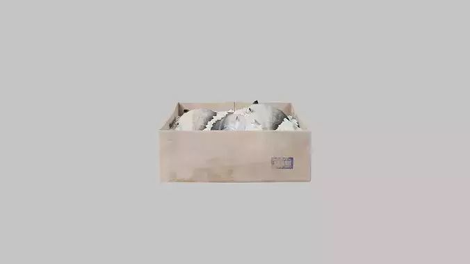 Salmon Box Low-poly 3D model 3