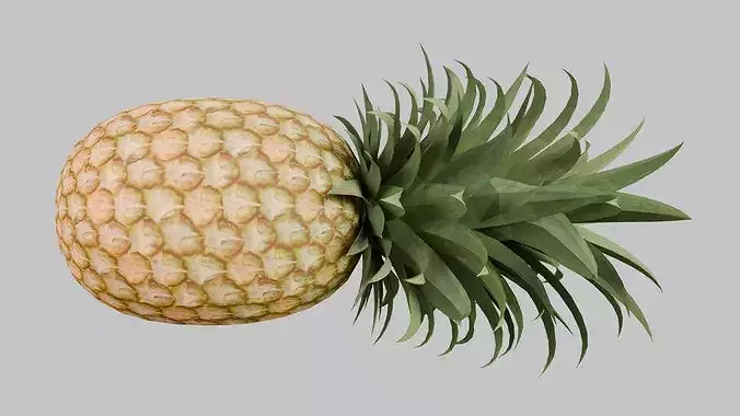 Pineapple Low-poly 3D model 3