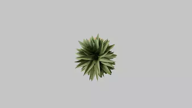 Pineapple Low-poly 3D model 4