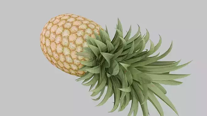 Pineapple Low-poly 3D model 2