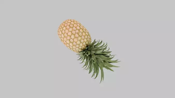Pineapple Low-poly 3D model 6