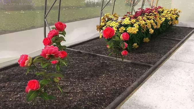 Greenhouse Winter Garden with Flowers 3D model 7