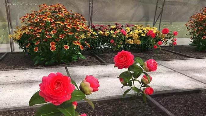 Greenhouse Winter Garden with Flowers 3D model 6